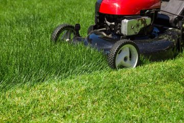 Lawn Mowing