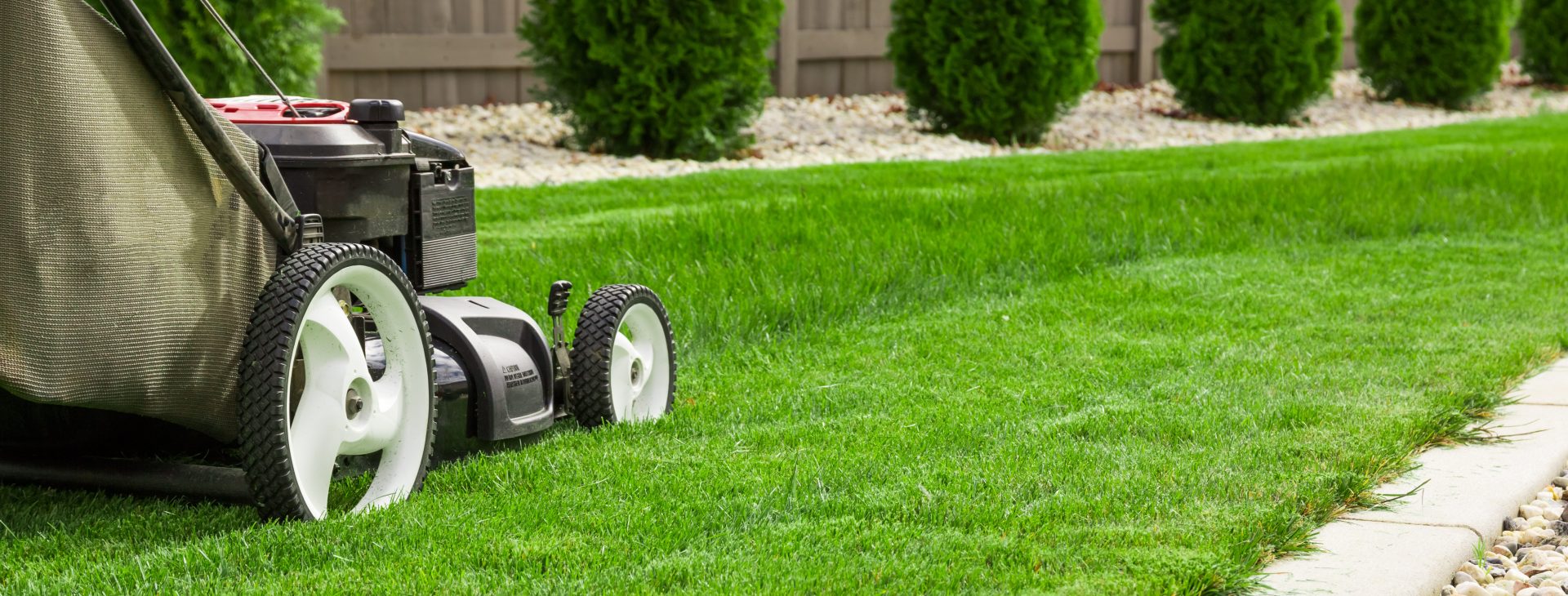 Your lawn and landscape
the way that it should be