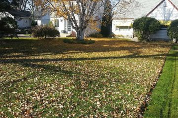 Property Cleanup